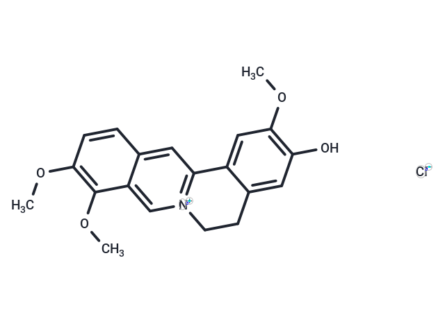 TargetMol Chemical Structure Jatrorrhizine chloride