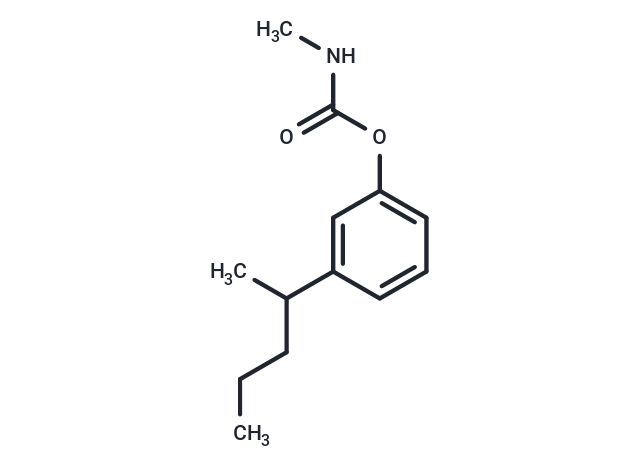 m-(1-Methylbutyl)phenyl methylcarbamate Chemical Structure
