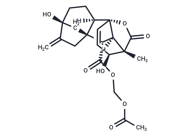 GA3-AM Chemical Structure