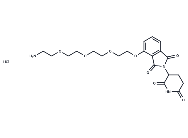 Thalidomide-PEG4-NH2 hydrochloride Chemical Structure