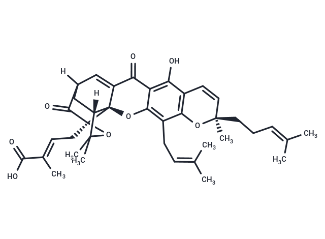 Isogambogic acid Chemical Structure