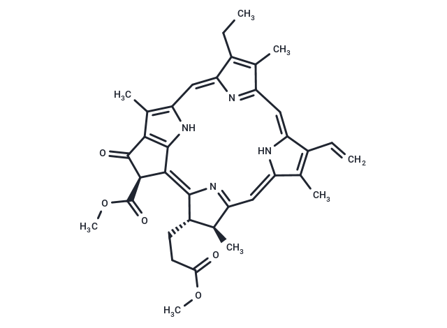 Methyl pheophorbide a Chemical Structure