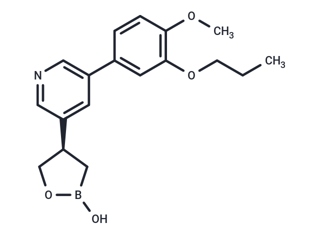 PF-07038124 Chemical Structure