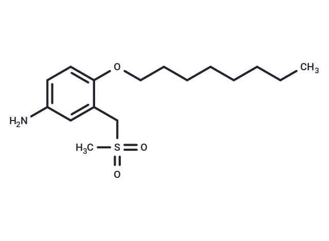 m-Toluidine, alpha-(methylsulfonyl)-4-octyloxy- Chemical Structure