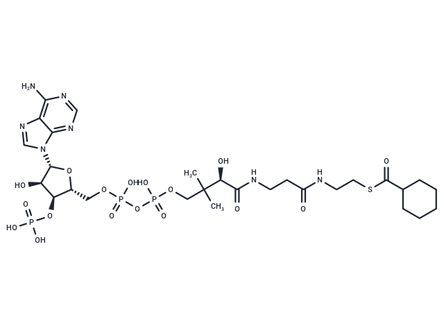 Cyclohexanoyl Coenzyme A Chemical Structure