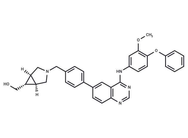 CP-654577 Chemical Structure