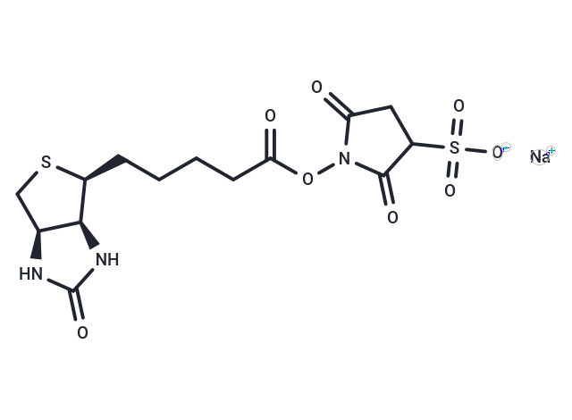 Sulfo-NHS-Biotin Chemical Structure
