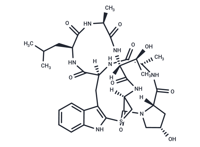 Leu-phalloidin Chemical Structure
