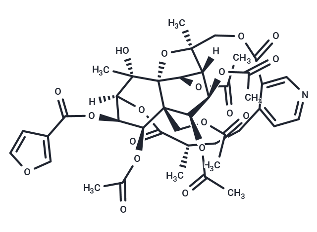 Wilfordinine D Chemical Structure