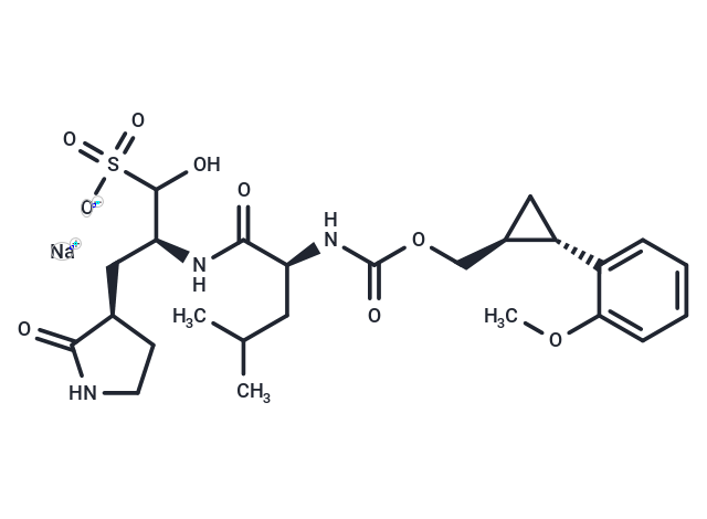 SARS-CoV-2 3CLpro-IN-11 Chemical Structure