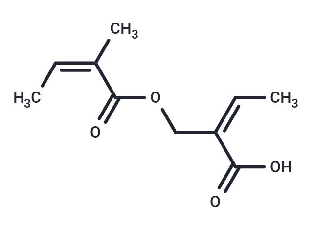 (Z)-2-Angeloyloxymethyl-2-butenoic Chemical Structure