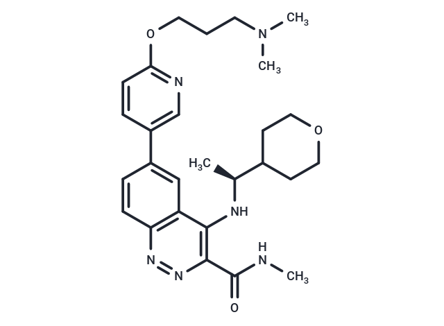 TargetMol Chemical Structure ATM Inhibitor-1