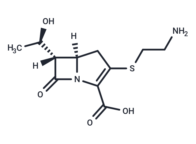 (+)-Thienamycin Chemical Structure