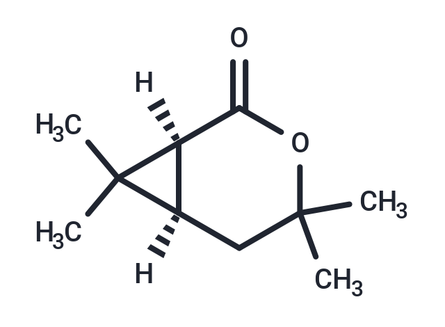 (1S)-Chrysanthemolactone Chemical Structure