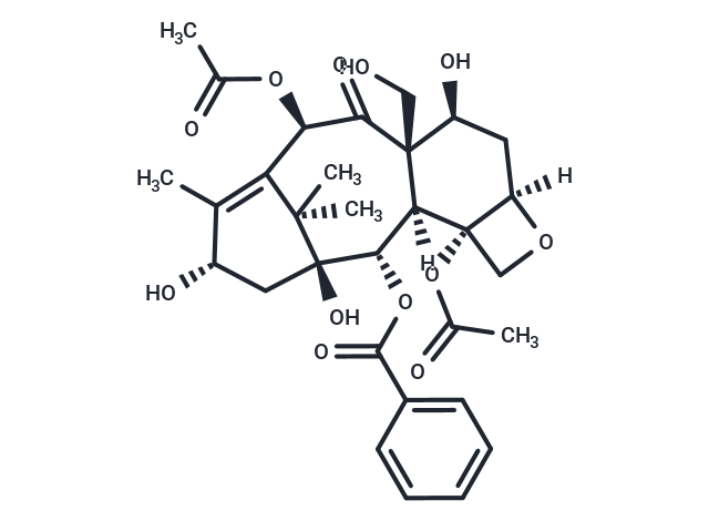 19-Hydroxybaccatin III Chemical Structure