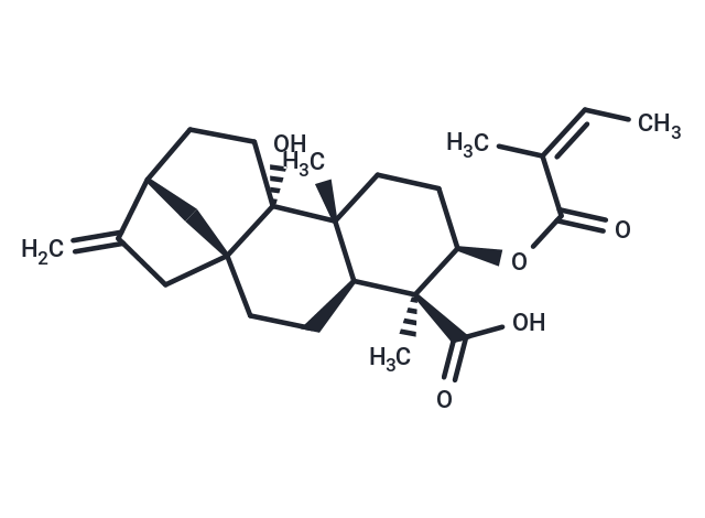 TargetMol Chemical Structure 3alpha-Angeloyloxypterokaurene L3
