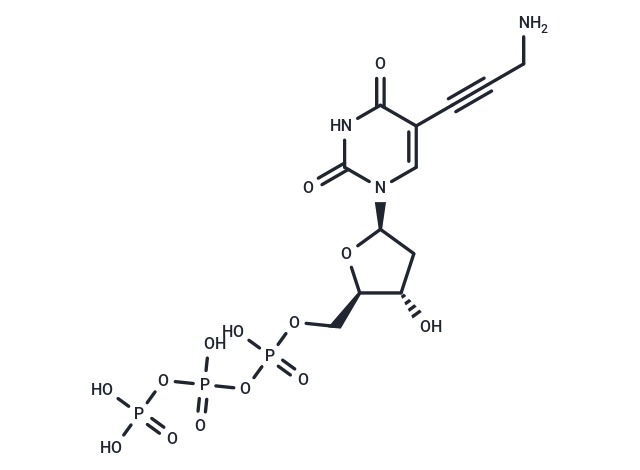 5-PA-dUTP Chemical Structure