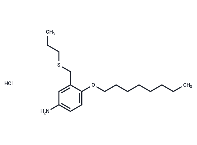 m-Toluidine, 4-(octyloxy)-alpha-(propylthio)-, hydrochloride Chemical Structure
