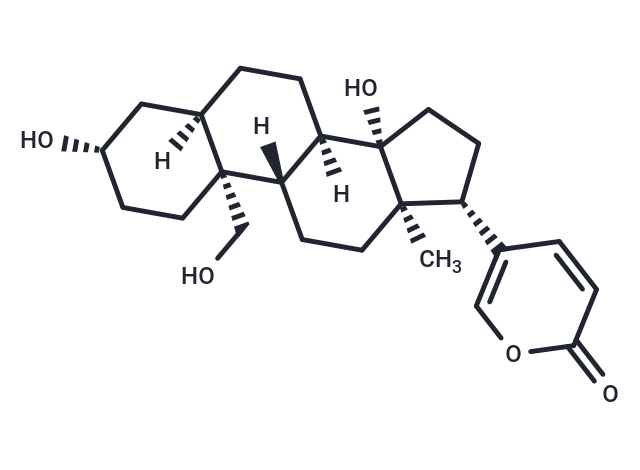 19-Hydroxybufalin Chemical Structure
