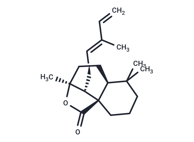 12E,14-Labdadien-20,8beta-olide Chemical Structure