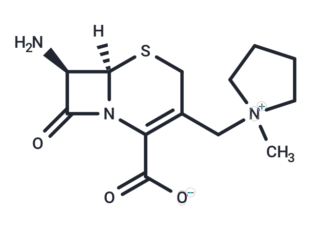 Cefepime related compound E Chemical Structure