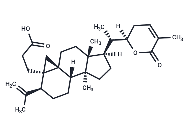 Schisanlactone E Chemical Structure