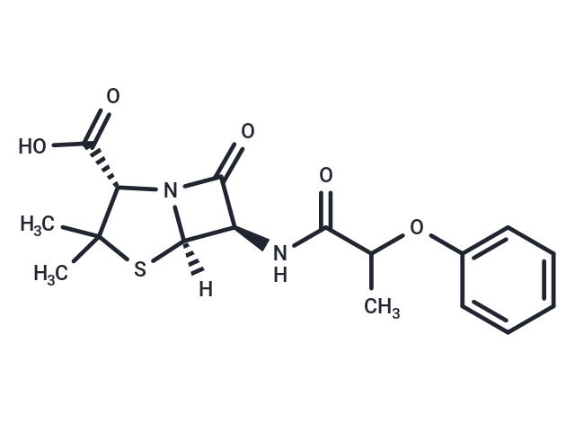 Pheneticillin Chemical Structure