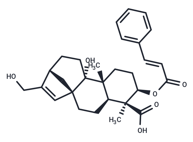3α-Cinnamoyloxy-9β,17-dihydroxy-ent-kaur-15-en-19-oic acid Chemical Structure