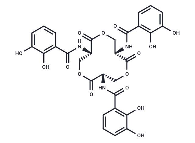 Enterobactin Chemical Structure
