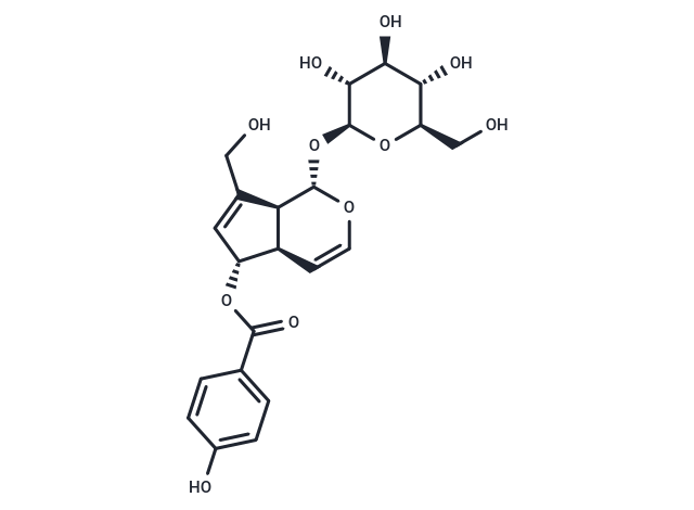 6-O-p-Hydroxybenzoylaucubin Chemical Structure
