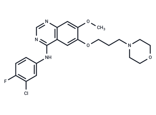TargetMol Chemical Structure Gefitinib