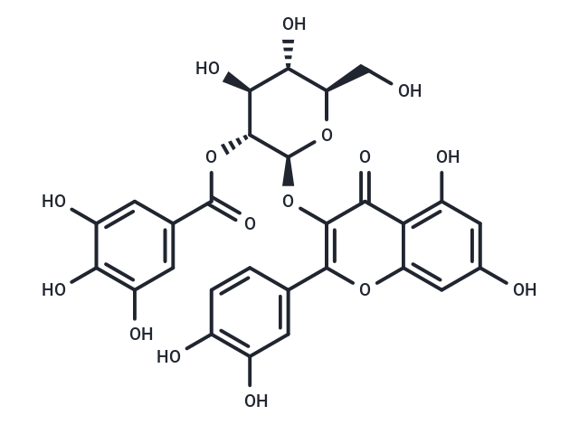 Quercetin-3-O-(2′′-O-galloyl)-β-D-glucopyranoside Chemical Structure