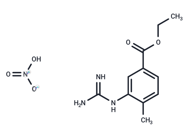 Ethyl 3-guanidino-4-methylbenzoate nitrate Chemical Structure