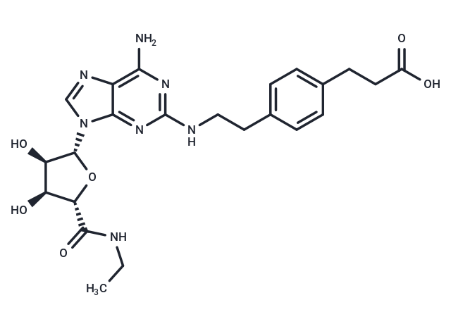 CGS 21680 Chemical Structure