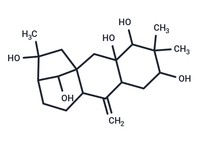 Leucothol B Chemical Structure