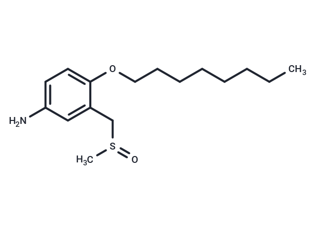 m-Toluidine, alpha-(methylsulfinyl)-4-(octyloxy)- Chemical Structure