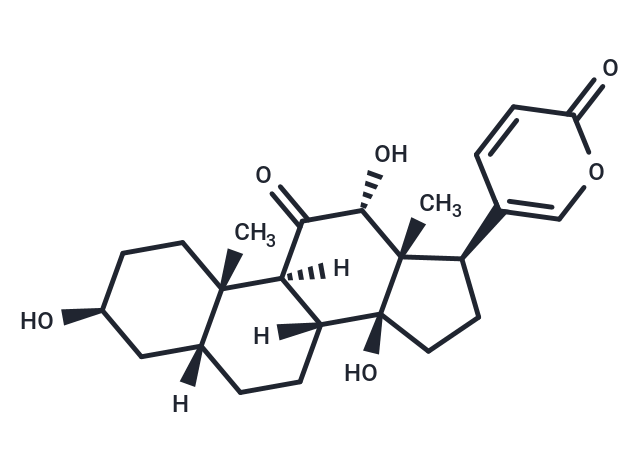 Pseudobufarenogin Chemical Structure