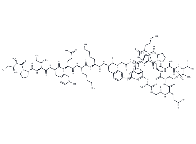 CART (55-76), rat Chemical Structure