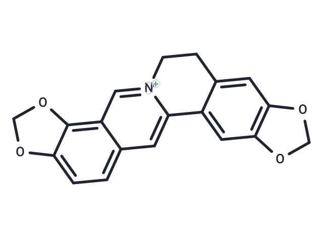 Coptisine Chemical Structure
