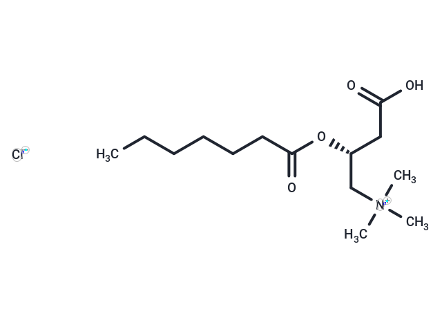 Heptanoyl-L-carnitine (chloride) Chemical Structure