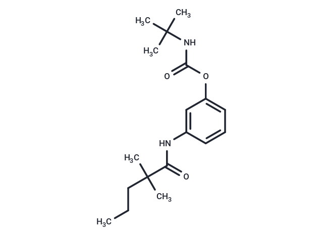 Valeranilide, 2,2-dimethyl-3'-hydroxy-, tert-butylcarbamate (ester) Chemical Structure