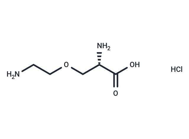 L-4-Oxalysine hydrochloride Chemical Structure