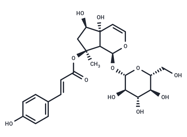 8-p-Coumaroylharpagide Chemical Structure