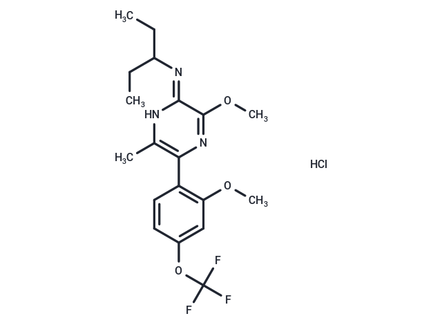 NGD 98-2 hydrochloride Chemical Structure