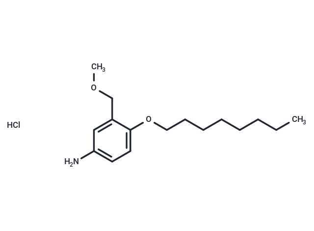 m-Toluidine, alpha-methoxy-4-(octyloxy)-, hydrochloride Chemical Structure