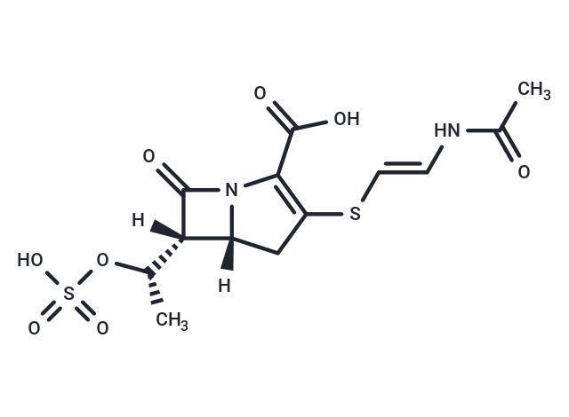 Epithienamycin E Chemical Structure