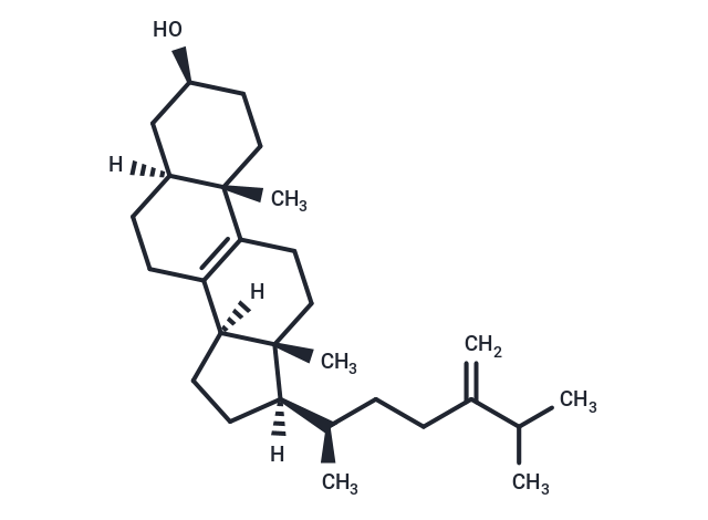 Fecosterol Chemical Structure