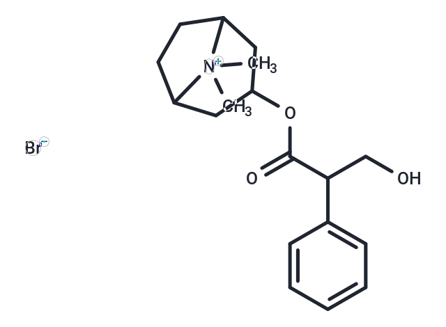 TargetMol Chemical Structure Atropine methyl bromide