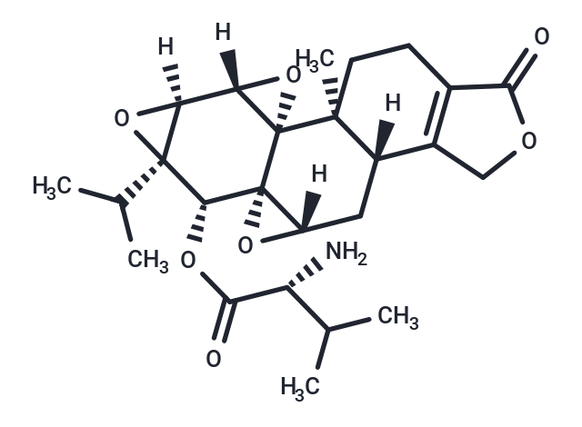 TargetMol Chemical Structure WBC100