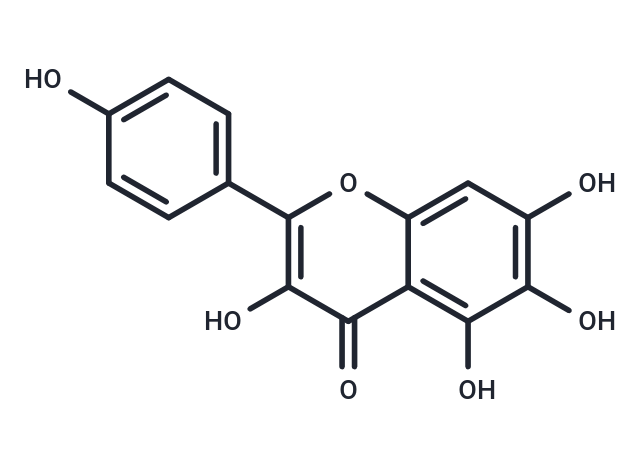 TargetMol Chemical Structure 6-Hydroxykaempferol